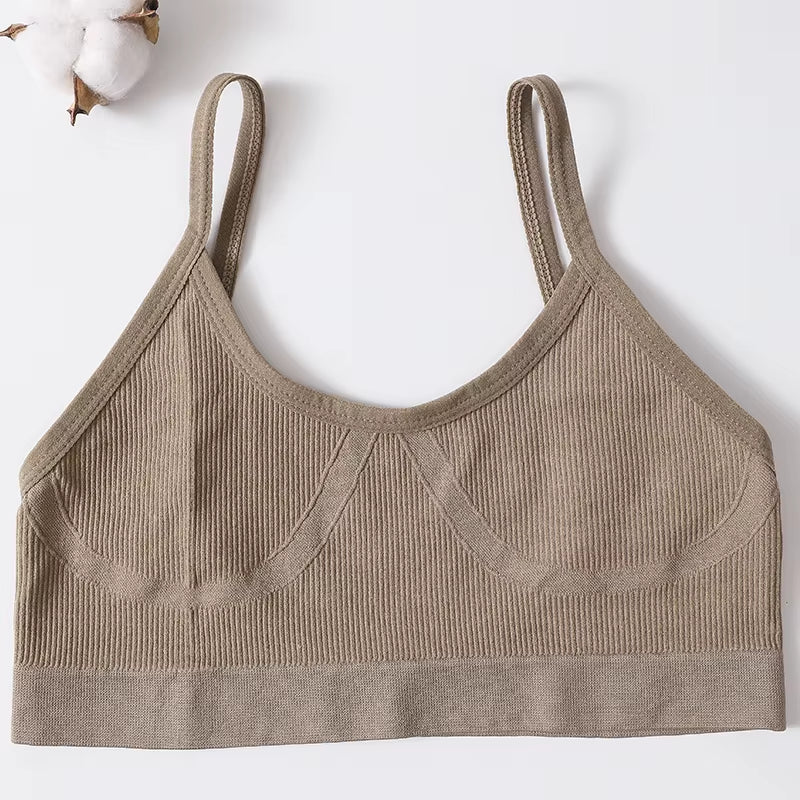 Sports Bra Padded Tube Top Women Crop Top Seamless Underwear Female Streetwear Tank Top Removable Pads Push-Up Bra Solid Camis